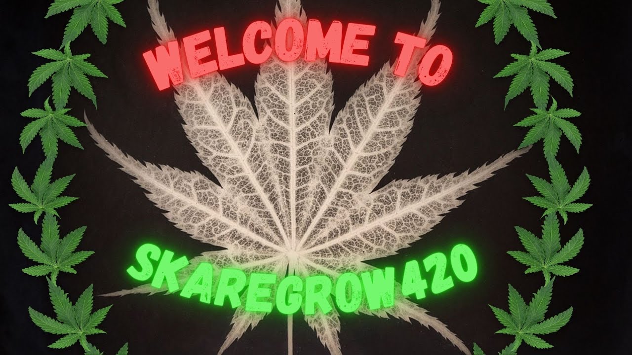 Welcome to SkareGrow420