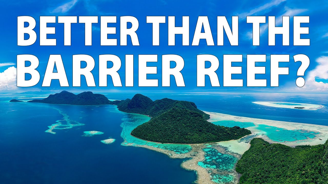 Better than the Barrier Reef | Discover Sabah, Borneo Ep222