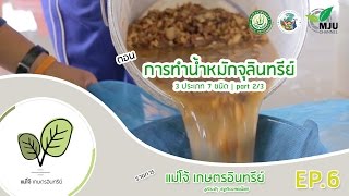 รายการ แม่โจ้เกษตรอินทรีย์ | ตอน การทำน้ำหมักจุลินทรีย์ 2/3