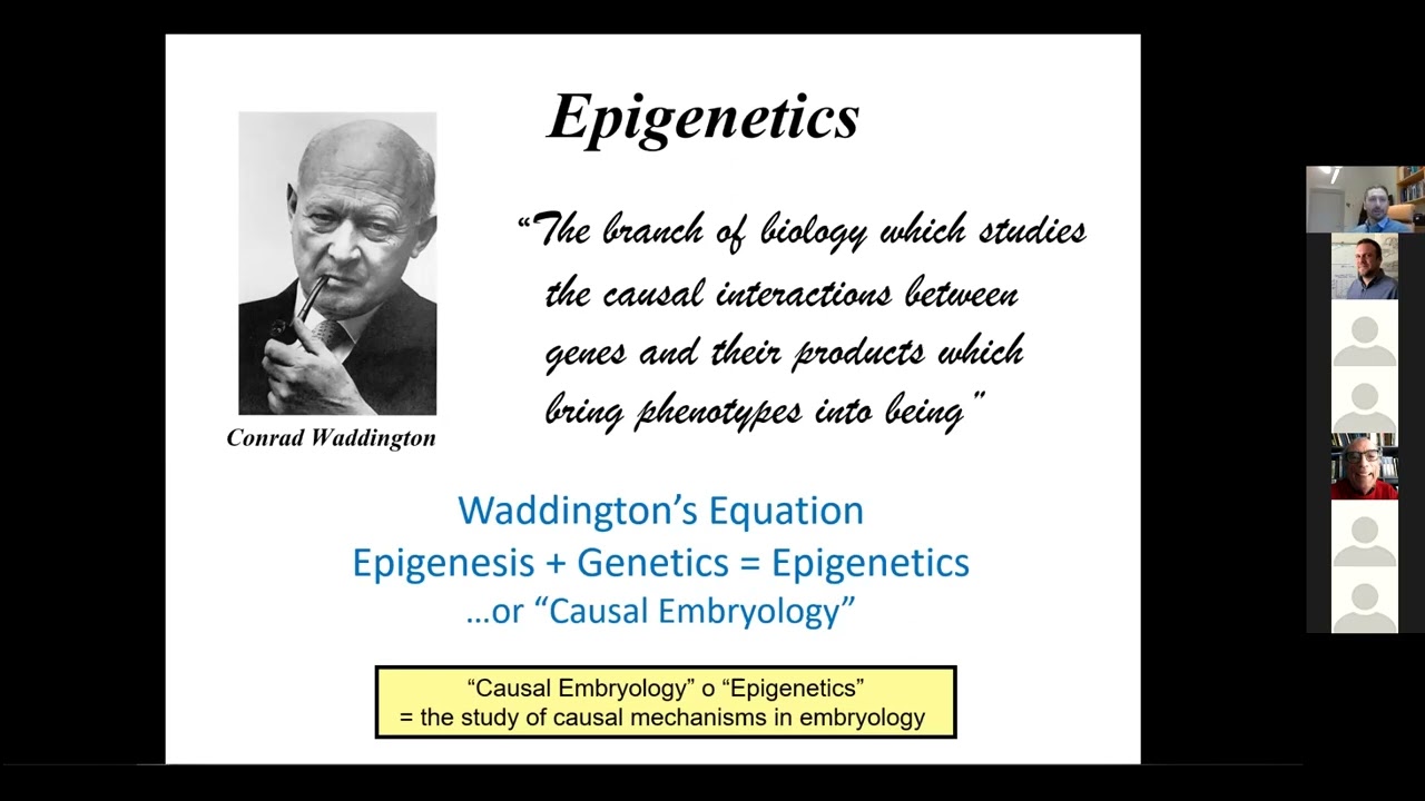 Environmental epigenetics: From Ecotoxicology to Evolution