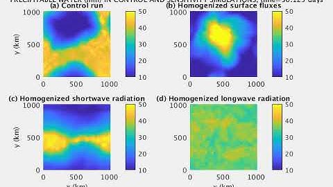 Spontaneous Aggregation of Convective Storms: Supplemental Video 1