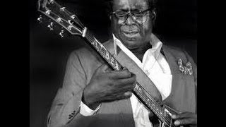 Video thumbnail of "Albert King- I'll Play The Blues For You"