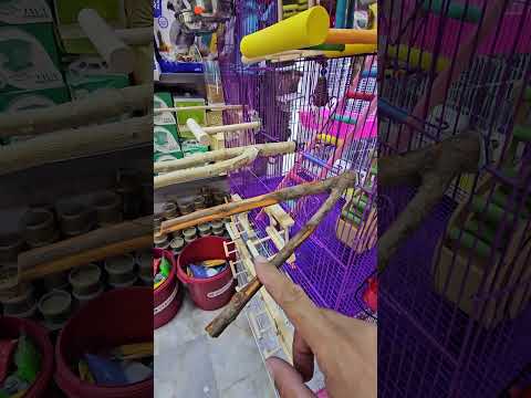 مجاثم طبيعيه
