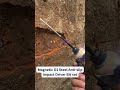 Magnetic D1 Steel Impact Bit Set – No More Slipping Screws!