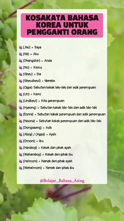 Kosakata Bahasa Korea Untuk Pengganti Orang #bahasakorea #korea #korean #shorts