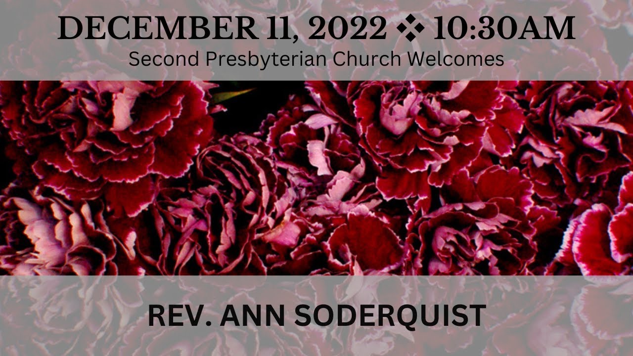 How Many Saturdays Since January 1 2023
