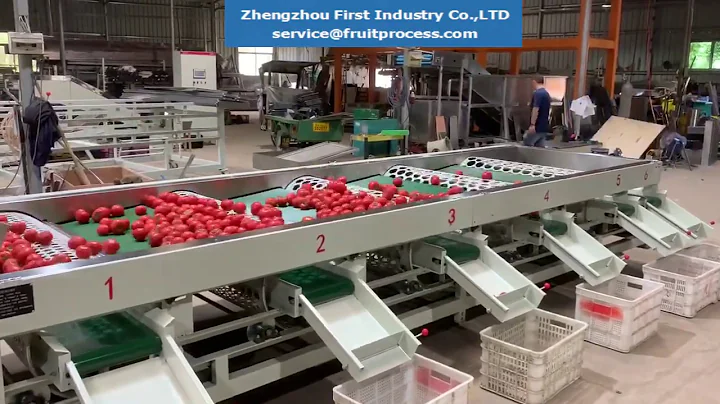 tomato sizing machine, tomato grader