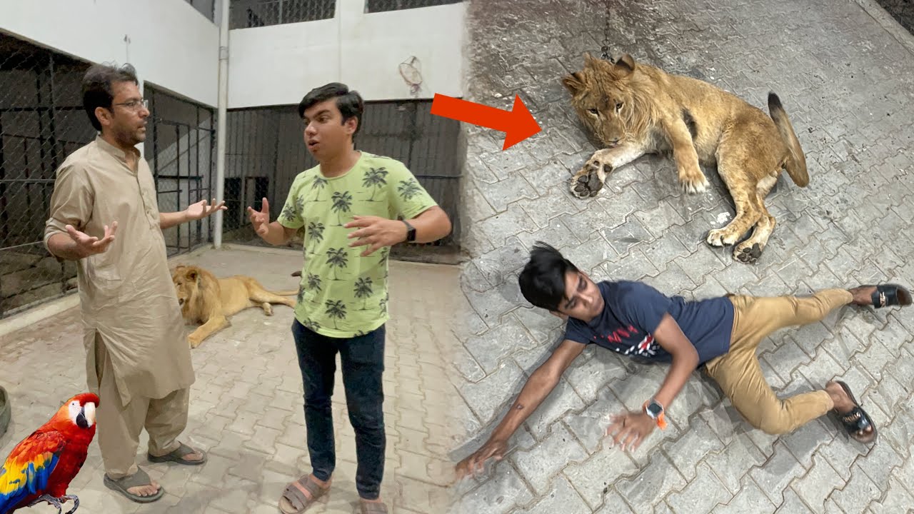 Hmara Macow Kaha Chala Gea 😭 Subhan Pagal Ho Gea 😰