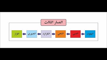 مسارات الاداء في التلاوة - المسار الثالث - النهاوند - الصبي - الشجي - الكاركرد - الجبوري - القزاز