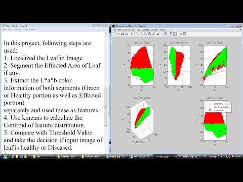 Diseased Leaf Detection System using Color Transformation and kmeans