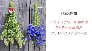 生花の美しさを保つプリザーブドフラワー。特徴と人気の理由を紹介