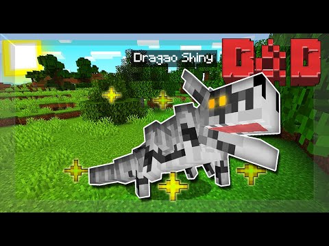 Domei um DRAGÃO SHINY! Minecraft D&D #6