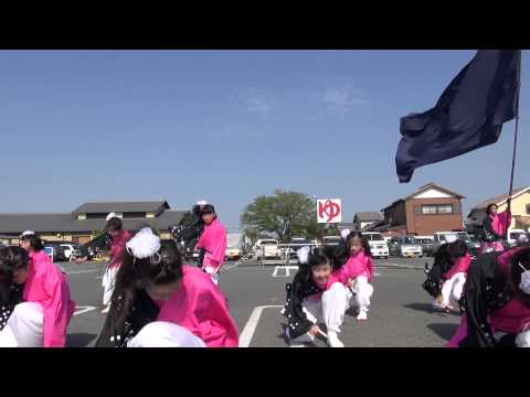 茶桜いいなんさん　ミタス伊勢よさこいソーランコンテスト2013