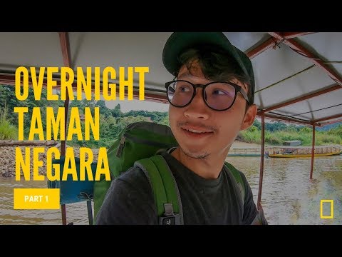 It's like Nat Geo: Overnight at Taman Negara Rainforest. Malaysia. Part 1.