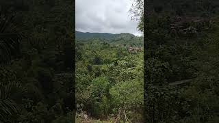 Download Lagu SUARA GARENGPUNG DI ALAM, SANGAT MENENAGKAN HATI DAN PIKIRAN 2 MP3