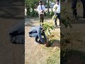 Tree Plantation #youtubeshorts #youtube