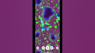Tiamat - Cellular Automata #simulation #cellularautomata #cellularautomaton #programming