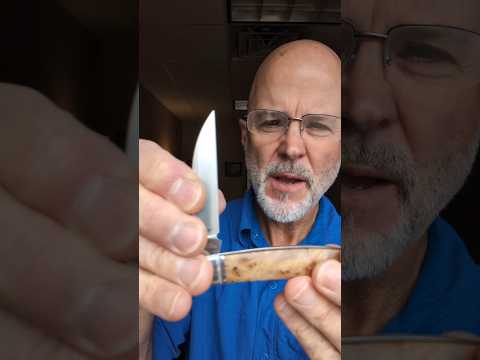 New Single Blade Congress Pocket Knife