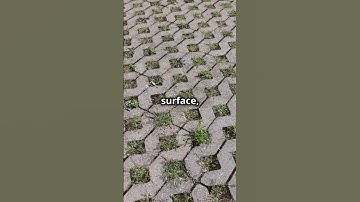 Why Do Roads Flood Despite Drains #viralvideo #learnsomethingnew #didyouknow