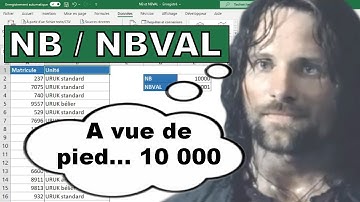 Fonction Excel : NB et NBVAL, pour tout compter