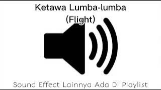 Sound Effect Ketawa Lumba-lumba (Flight)