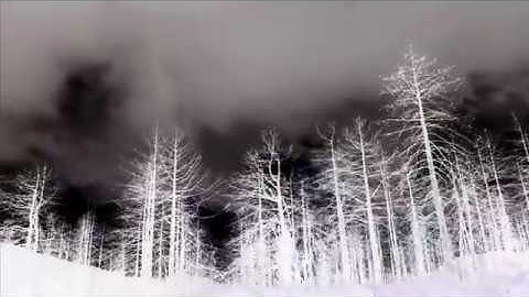 I Tpame I Tvrame - Always Near