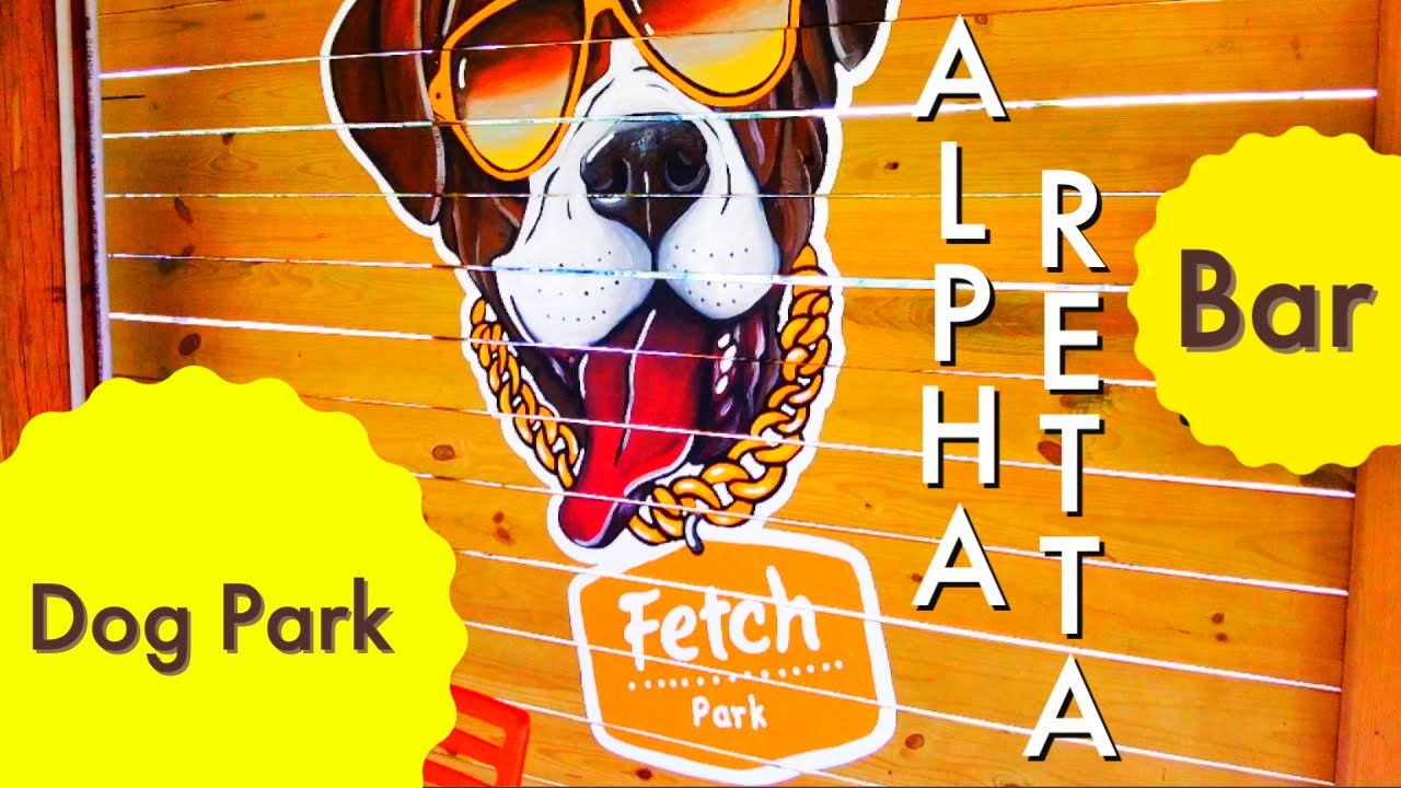 Fetch Dog Park Alpharetta Georgia YouTube Fetch Dog Park Alpharetta Georgia YouTube