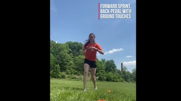 Forward sprint & back pedal with ground touches