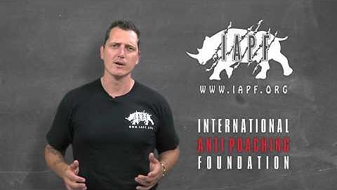 Welcome to Command & Control