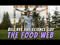 The Vital Role of Plants in Our Food Web