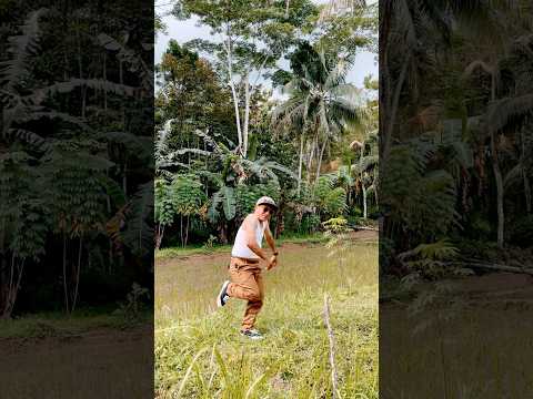 Kades Hohoy Selalu Kasih Makan Ikan Di Balong Yah Bolo Hoho
