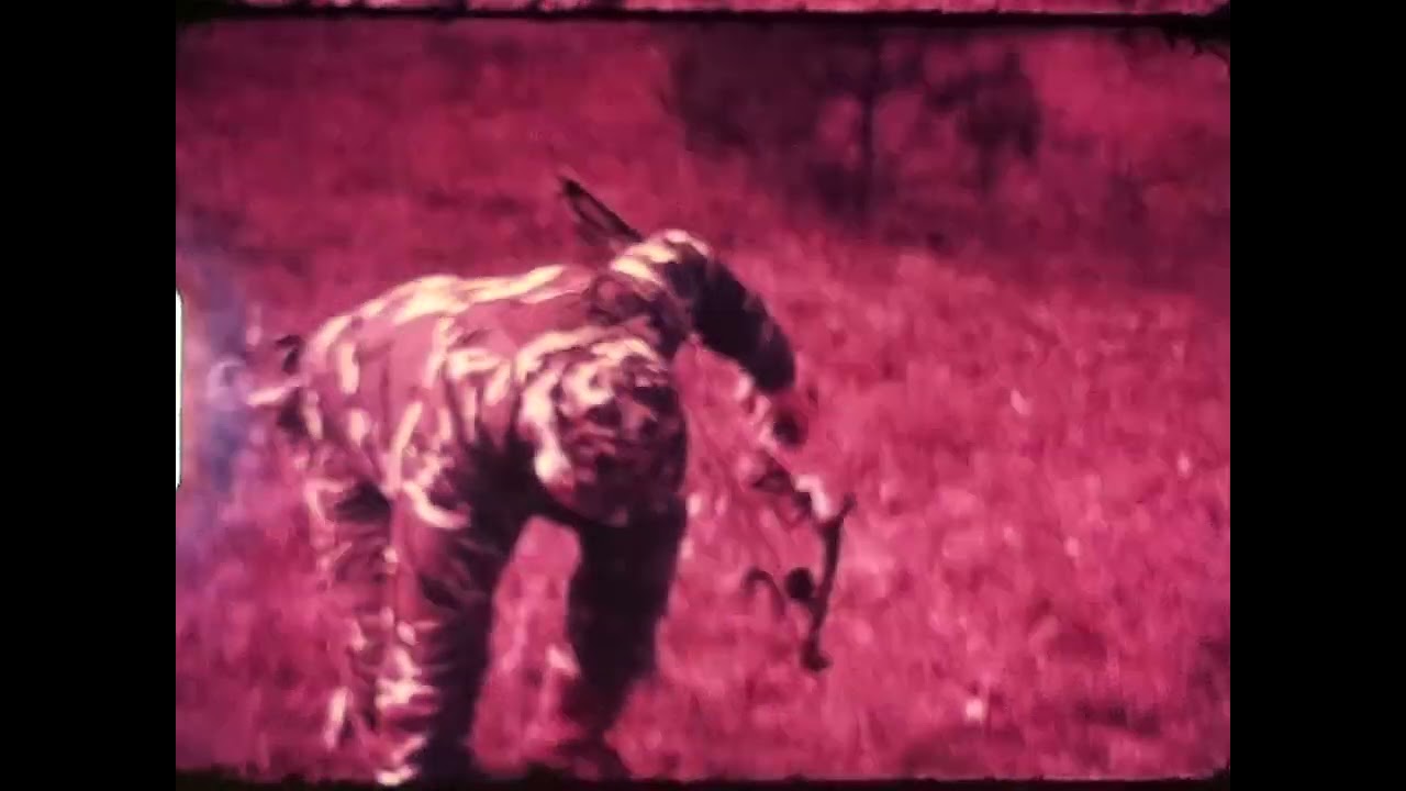 Part 2 Yellow Labs Brandy & Lady helping with Woodcock and Partridge Hunting Score