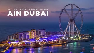 AIN DUBAI🔥🔥#shorts #shortvideo #dubai #aindubai