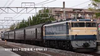 EF65 501+旧型客車+EF64 37 回送 井野駅通過(2019年4月21日撮影)