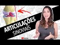 Articulações Sinoviais | Anatomia etc