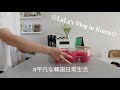 【KOR】한국일상:日本人主婦の韓国日常Vlog♯029 ピクニック、シンプルな夕飯、買い出し品紹介、バナナシナモンシュガーベーグル