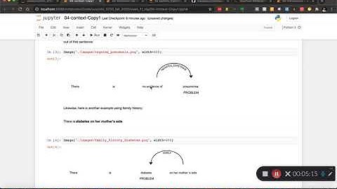 Week 11: Clinical NLP Notebook #4: Concept Negation with ConText
