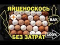 Повышаем яйценоскость без затрат и химии!!!