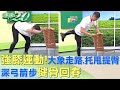 強膝運動！大象走路.托甩提臀.深弓箭步健骨回春 健康2.0 @tvbshealth20