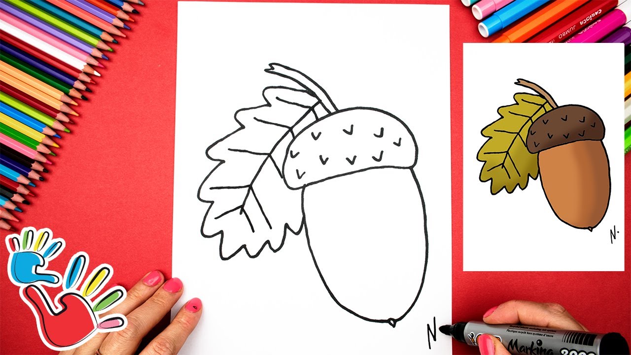 Acorn Drawing: (4 Easy Steps)! - The Graphics Fairy