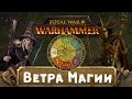 Ветра Магии (знакомимся с Вархаммер)  | Total War: Warhammer