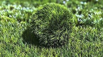 FuntaPix - Tennis Ball