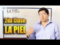 2da CLASE👨‍🏫🔥: Como es la PIEL? Capas de la piel: Epidermis y Dermis - Cutis FUNCIONES de la piel.