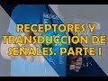 RECEPTORES Y TRANSDUCCIÓN DE SEÑALES  PARTE I