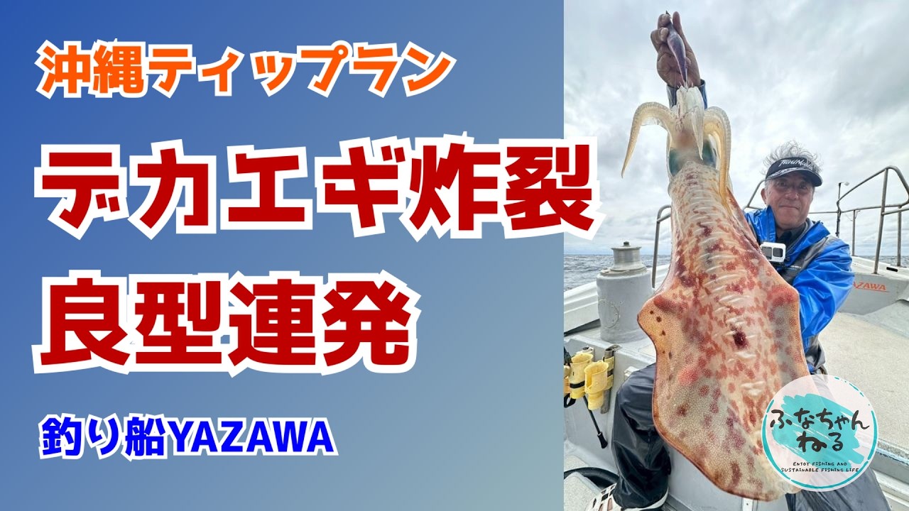 ティップラン】7号エギが大正解…良型アオリ3連発！レッドモンスター
