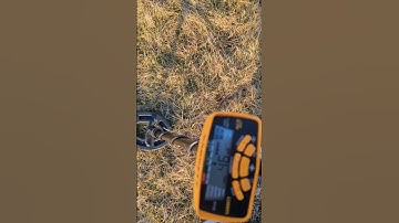 Garrett Ace 300 doing what it does. #garrett