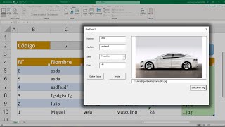 Form with data entry and image in Excel (VBA Macros)