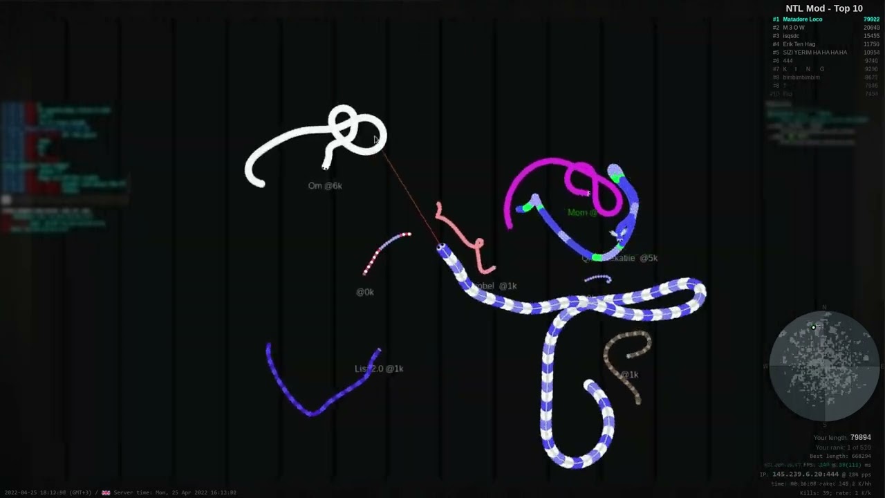 NTL MOD for Slither.io