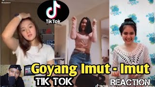 TIK TOK GOYANG IMUT - IMUT ALL NIGHT || TIK TOK VIRAL TERBARU 2020