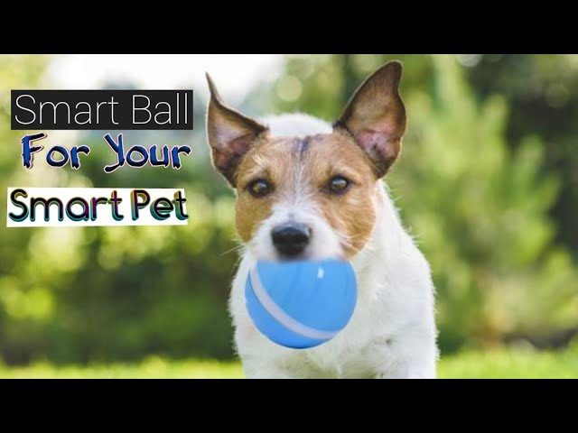 Electric Dog Ball Toys Auto Rolling Smart Dog Toys Dogs Training